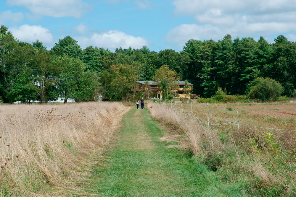 Dover, MA farmland