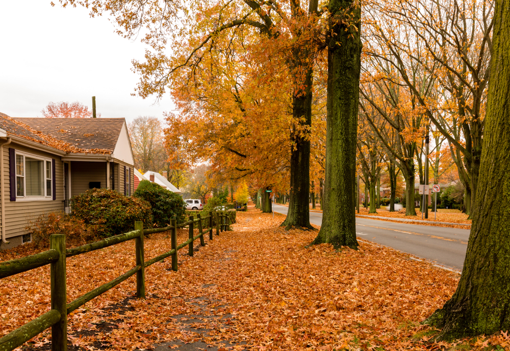 West Roxbury neighborhood in Boston, MA