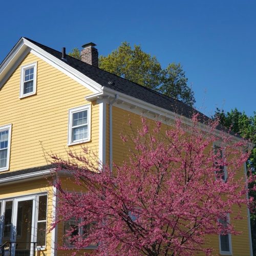 yellow house with pink tree