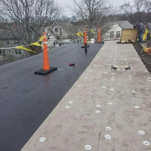 Mulehide dorchester 2