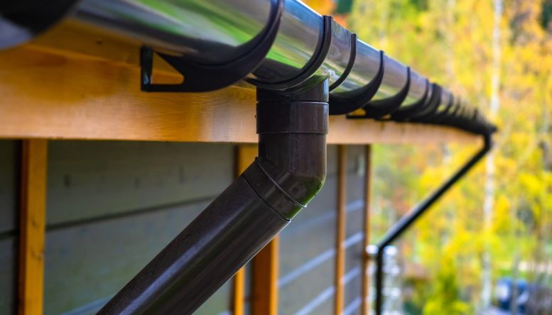 shutterstock_1300736173 shutterstock_1300736173